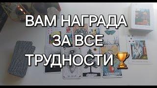 НАГРАДА за ВСЕ пережитое...Чем сердце успокоится?️‍🩹