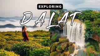 Why You NEED To Visit Dalat Vietnam  // Da Lat Travel Guide