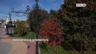 Золотая осень в Тирасполе