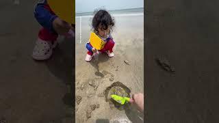 Coco is happily playing on the beach #adorably #enrichment