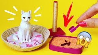 Miniature Cat Accessories  DIY Pets for dolls  AnnaOriona