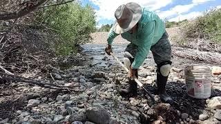 Gold Panning and Sluicing in Fairplay Colorado July 2022 #thefinders #gold #goldmining #colorado