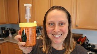 Fermented Garlic Dill Carrots - #fermentedfebruary2023