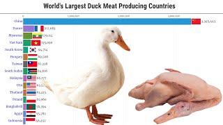 Data Is Beautiful - World's Largest Duck Meat Producing Countries (1961 - 2025)