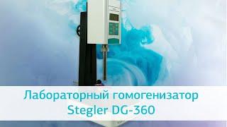 Лабораторный гомогенизатор Stegler DG-360