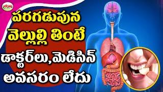 పరగడుపున వెల్లుల్లి తింటే..ఏమౌతుంది? | 7 Surprising Health Benefits Of Garlic | Aarogya Sutra.