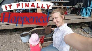 "RAIN or SHINE, Homestead Life Doesn't Stop – But TODAY Was Extra Special!"