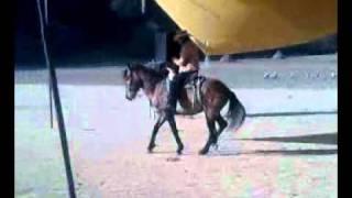 BAILANDO CON CABALLO