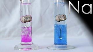 Jumping sodium - Chemical Experiment!