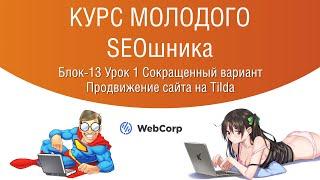 Сокращенный Урок. SEO продвижение сайта на Tilda. Можно ли продвинуть сайт на тильде?