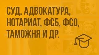 Правоохранительные органы РФ. Суд, адвокатура, нотариат, ФСБ, ФСО, таможня и др. Видеоурок