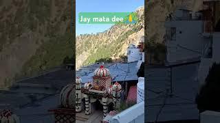 Jay mata dee  Jay vashano bhawan second navratri