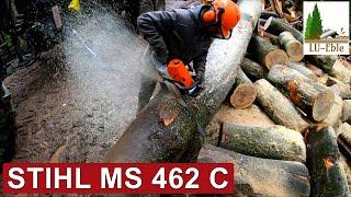 STIHL MS 462 C | Power-Säge beim Meterrollen sägen