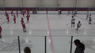 ELHS Spartans Hockey vs. Minnechaug LIVE