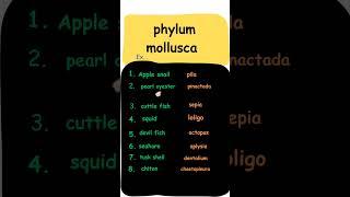 most expected example (phylum mollusca).. ..#neet #biology #shorts