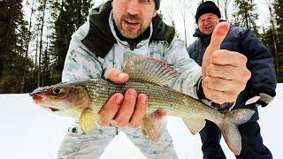 Winter fishing for grayling. Life in a log cabin in the taiga.