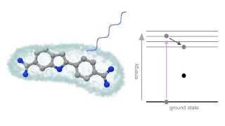 Fluorescence Animation