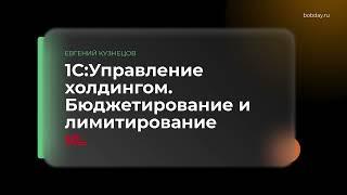 1С Управление холдингом. Бюджетирование и лимитирование