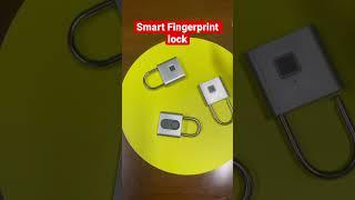 Smart fingerprint lock 2022| best fingerprint lock manufacturer from China |door lock access control