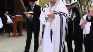 Hoshana Rabba Telz Yeshiva 2013