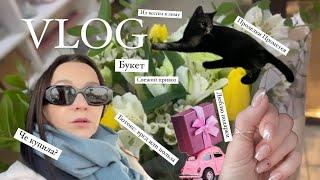 VLOG: PRADA и голубцы