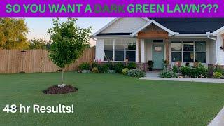 Ironite vs Liquid Iron for a DARK GREEN LAWN