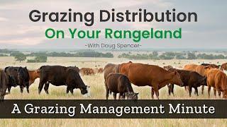 How Does Grazing Distribution Work - Grazing Management Minute