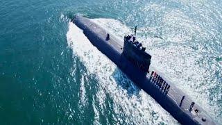 Trailer - “Life under the waves” New TV documentary