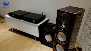 Monitor Audio Gold 200 and Primare CD35/I25 play Sant-Säens