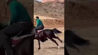 ХУРСАНДМУРОД ТОҶИКИСТОН #buzkashi #kupkari #uloq #dushanbe #kokpar #tjk #uzb