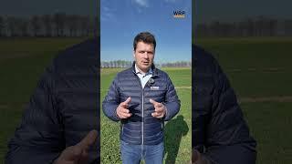 Zyskuj z BeneFito. Fungicydy zbożowe do skutecznej ochrony zbóż @BASF_Agro