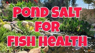 Salting your Pond can benefit Fish and Pond Health | Salt for ponds