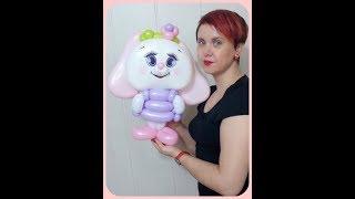 Милая зайка. Sweet little bunny.