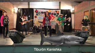 Tiburón Kanisha - Clases de Música