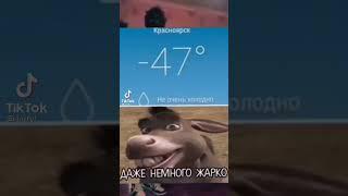 Смешные видео до слез!!! 