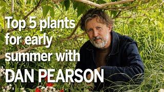 Dan Pearson's top 5 garden plants for early summer | Designer plant picks for May + June