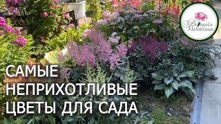 Самые неприхотливые садовые цветы