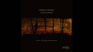 Joshua Calleja - Mindless Chaos  [Northern Parallels 022]