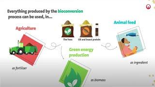 What’s Bioconversion | Veolia