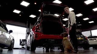 Nelly visits Stephen James MINI... | MINIxDogs