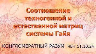 Софоос.чен.11.10.24. КР. Соотношение техногенной и естественной матриц системы Гайя.