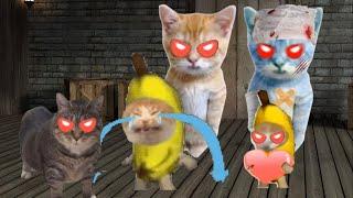 Baby Banana Cat Videos ️ 2 Minutes #68