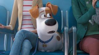 'The Secret Life Of Pets 2' Official Trailer (2019) | Patton Oswalt, Kevin Hart, Tiffany Haddish