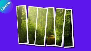 How to make photo strip in canva tutorial by DLC Ventures India