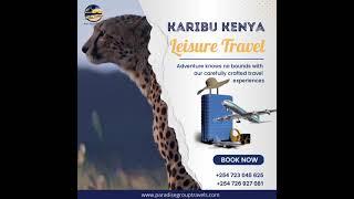 Experience Paradise  Leisure Travel