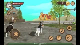 взломанные аккаунты в dog sim и cat sim