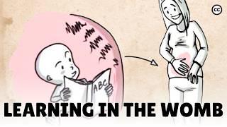 Prenatal Development: What Babies Learn in the Womb