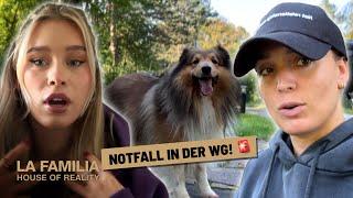 SOS in der Villa: Julia muss die Polizei rufen!  | La Familia – House of Reality #134