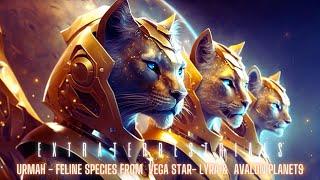 “Meet the Urmah: The Fierce and Spiritual Extraterrestrial Cat Warriors" 4k