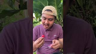 Found tomato c4ndy 4nd share with fish #shorts